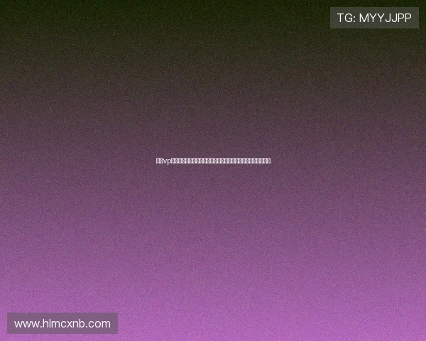 白鲸vp官网下载入口详解安全稳定高速安装使用指南新手教程全面解析